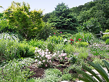 Highland Design Gardens Borders image 4